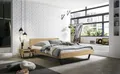 HASENA Asti Trento 16 7210.215271