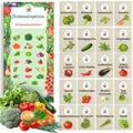 TORAF Gemüsesamen Set 20 Ausgesuchte Sorten – Premium Saatgut für Garten, Balkon, Hochbeet - Leicht anzubauen - Ideal für Anfänger und Gartenliebhaber - für Frische Ernte zu Hause - Geschenkset