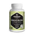 Ginkgo Biloba 100 mg vegan 100 St
