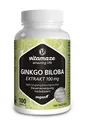 Ginkgo Biloba hochdosiert, 50:1 Extrakt 100 mg = 5000 mg Ginkgo Blatt-Pulver pro Kapsel, Vegan, 100 Kapseln für 100 Tage, Pflanzliche Nahrungsergänzung ohne Zusätze, Made in Germany