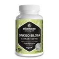 GINKGO BILOBA 100 mg hochdosiert vegan Kapseln 100 St PZN 16018605
