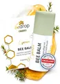 bedrop BeeBalm Lippenpflege Lippenbalsam im Pump-Spender mit Manuka Honig, Gelée Royale, Retinol - feuchtigkeitsspendend, Anti-Aging für Lippen & Nase 100% natürlich, 6ml