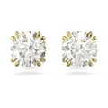 Swarovski Stilla Ohrringe, Vergoldete Ohrstecker mit Klaren Swarovski Kristallen