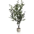 Coco Maison Eucalyptus Tree Kunstpflanze