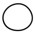 Wandlerkolbendichtung 110,46 mm x 4,93 mm x 4,42 mm 8HP45 845RE 0CM 8HP55 8HP70