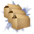 PROREGAL 3x Versandkarton 2-wellig | LxBxH 1200 x 600 x 600 mm | Mit Höhenriller & Belastbar bis 30 kg | Braun | Große Pappkiste Faltkarton Karton Paket für Versand mit DHL DPD GLS UPS Hermes