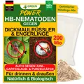 POWER HB-Nematoden gegen Dickmaulrüssler 200Mio für 400 m²,&Engerlinge bekämpfen