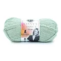 Lion Brand Yarn 860-178 Vanna's Choice Garn, Acryl, Sea Glass, 1 Pack, 156 Meter