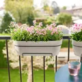 Elho Pflanzgefäß 'Vibia Campana 50 all-in-1', seidenweiß
