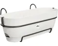 Blumenkasten Elho vibia campana Kunststoff 50,4 x 26 x 17 cm seidenweiß inkl. Be