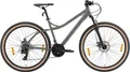 Bikestar Mountainbike, 21 Gang Shimano RD-TY300 Schaltwerk, Kettenschaltung, für Damen und Herren, Kettenschaltung