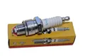 Zündkerze NGK BPR7HS für Pegasus Sky 50 Baujahr 1999 - 2008 NEUWARE Sky50