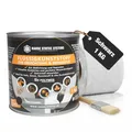 HSS Flüssigkunststoff Abdichtungsset inkl. Pinsel & Vlies – UV- & witterungsbeständig – MS-Polymer – lösungsmittel- & bitumenfrei – Schwarz – 1 kg für ca. 1 m²