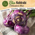 Kohlrabi Samen Blau (BIO) - 125 Samen Gemüsesamen Kohlrabisamen Delikatess Blue