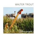 Common Ground - Walter Trout - Blues, Vinyl, 2LP, John Porter, B.B. King, Buddy Guy, Blues Album [Vinyl LP]
