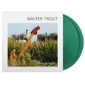 Walter Trout Common Ground