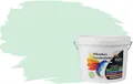 RyFo Colors Fassadenfarbe Silikonharz Fassadenfarbe Grüntöne, 1 L ca. 6 m², Wasserabweisend, diffusionsfähig, schützt vor Schmutz, UV-beständig