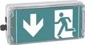 Ceag Ex-Rettungszeichenleuchte 1 2191 020 023 Sicherheitst. 12191020023