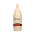 STAPIZ Sleek Line Shampoo mit Seide Repair, 1er Pack (1 x 1000 ml)
