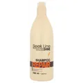 STAPIZ SLEEK LINE REPAIR SHAMPOO 1L