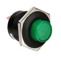 Taster Mit LED-Anzeige 12/24 Für Auto Lkw 2 Funktionen 5A Grün