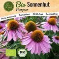 Sonnenhut Samen (BIO) - 125 Samen Blumensamen Sonnenhutsamen Purpur