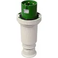 Walther Electric 269410 Wasserdichter Stecker, 63A, 4P, 10h mit Trompetenverschraubung