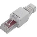 Rj45-stecker, Cat 6 Tru Components 1515263 Rj45-stecker, Gerade Grau 1 Stk. S935821