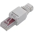 TRU COMPONENTS  RJ45 Stecker, Cat 6 Stecker, gerade   Polzahl Sensoren 8 Grau...