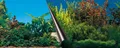 EBI Europet Bernina 241-108956 Photo-Rückwand, 120 x 50 cm Motiv Beauty und Sea