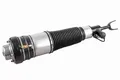 Luftfederbein vorne links Vemo V15 50 0001 1 für AUDI