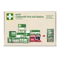 Orkla Wound Care AB Cederroth First Aid Station Nachfüllpaket Erste-Hilfe-Station, Praktisches Nachfüllset für Erste-Hilfe-Stationen, 1 Set = 12 Teile 51011039