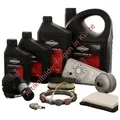 Briggs u. Stratton MEMBRANE  | 272638S | 024847241099