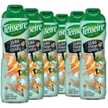 6 × Teisseire Cocktail Zero Sirup Orange Spritz 600ml