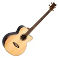 Toller 32" Ortega Striped Suite ACB Akustikbass mit Tonabnehmer und Gigbag