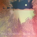 Still Corners Slow Air LP Vinyl WLR002LP Neu