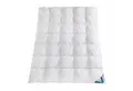 Haeussling Daunenbettdecke Häussling Daunendecke Hjemme hygge home Plissee 135x200 cm, Füllung: 90% Daunen, 10% Federn, Bezug: 100% Baumwolle
