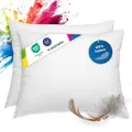 wometo 2er Set Federkissen 100% Federn 40x50-450g Oeko-TEX Sofakissen Füllkissen Bezug Baumwolle weiß/Innenkissen/Kissenfüllung/kleine Kopfkissen (2 Stück)
