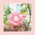 Pinks and Purples The Reds Summer At Land's End (CD) (US IMPORT)