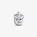PANDORA Unendlichkeitsknoten Charm 925 Sterlingsilber Pandora Moments 793755C00