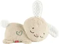 Fisher-Price Rabbit mit beruhigender Musik