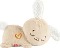 Fisher-Price Schlummer Häschen - tragbares Plüschspielzeug mit Musik (US IMPORT)