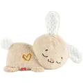 MATTEL Fisher-Price Schlummer-Häschen (0194735229659) (HXG97)