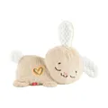 Fisher Price Schlummer Häschen Plüschtier Mattel Kuscheltier Baby Einschlafen