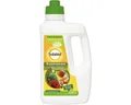Brennnessel Sud Solabiol 1 L