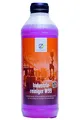 Nextzett (ehem. Einszett) Industriereiniger W99 (1 x 1000 ml)