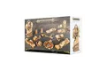 Warhammer AoS - Dominion of Sigmar: Timeworn Ruins