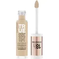 Catrice True Skin High Cover Concealer 032