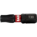Irimo 1/4" Torsion Bits für TORX T35 Schrauben 25 mm - 10 Stk. pro Blisterpackung (42378056)