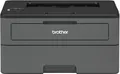 Brother HL-L2375DW S/W-Laserdrucker, europäische Version 1585985-N4